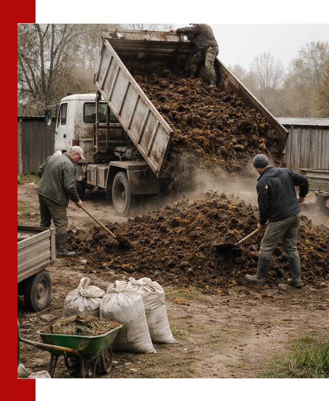 Доставка коровьего навоза самосвалом в ессентуках